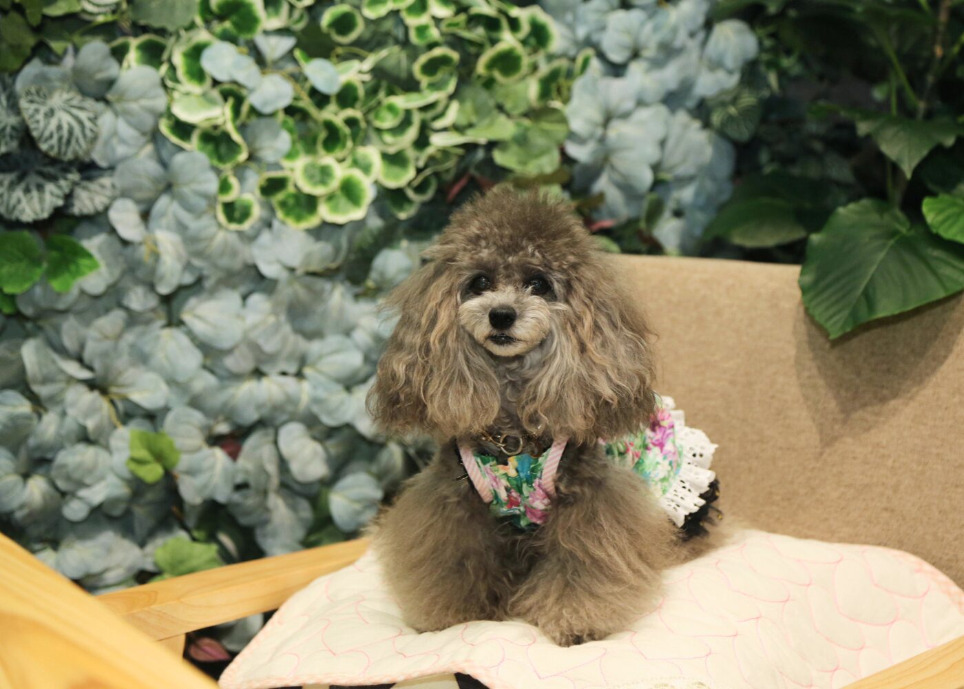 ritorito京都 ボタニカルカフェ