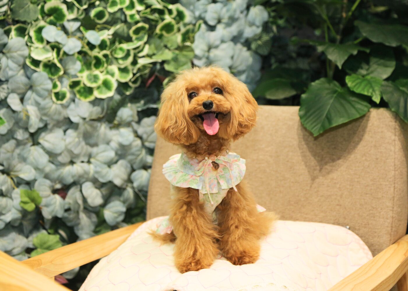 ritorito京都 ボタニカルカフェ