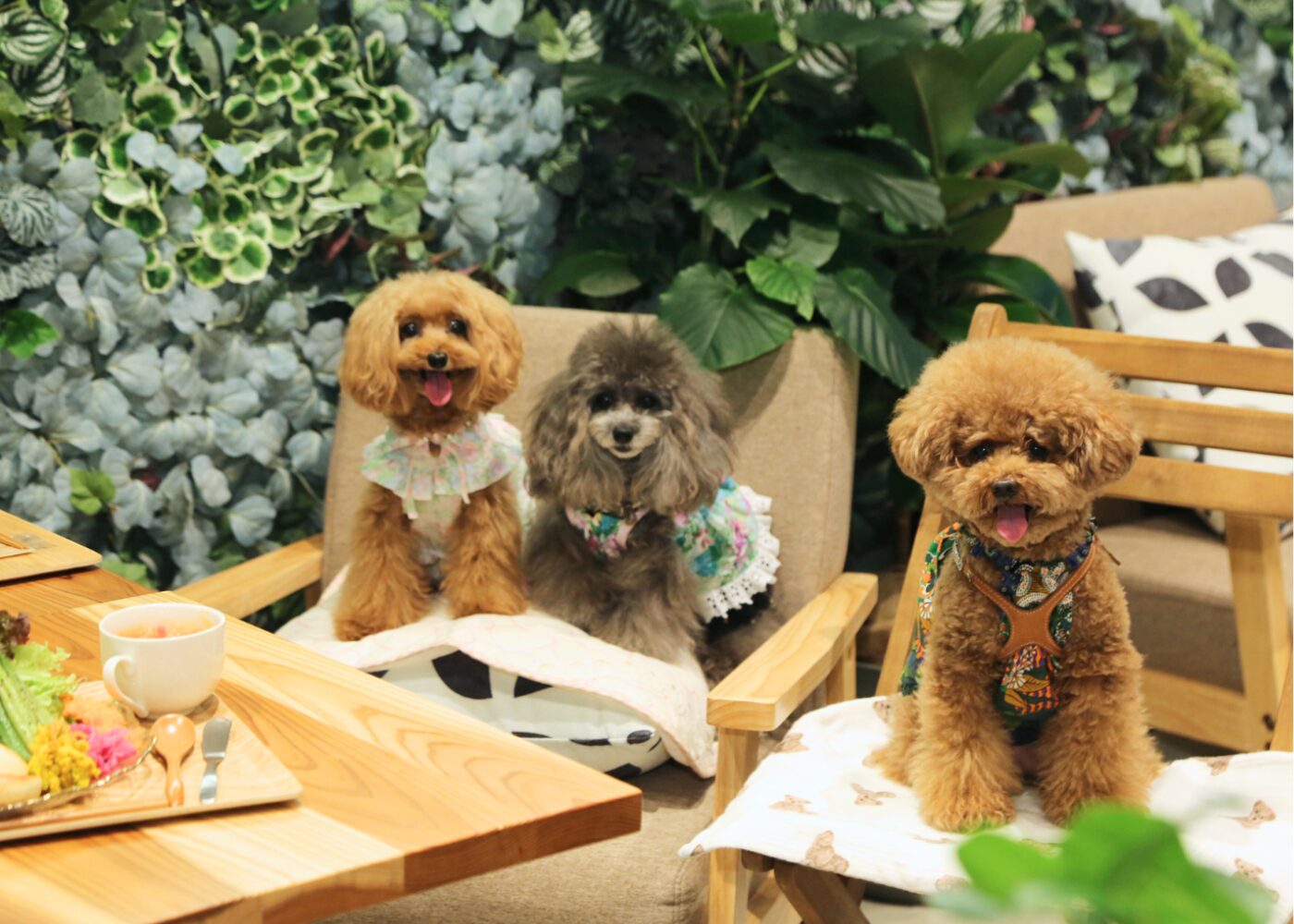 ritorito京都 ボタニカルカフェ